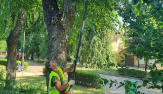 Biciklističke staze i neorezano granje