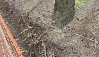 Dudova šuma i kopanje kanala