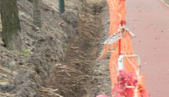 Dudova šuma i kopanje kanala