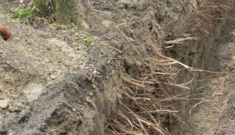 Dudova šuma i kopanje kanala