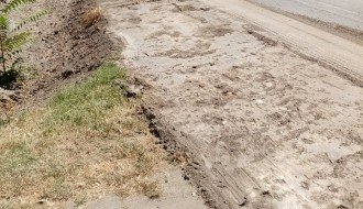 Javašluk u Bajmoku (Ulica JNA)