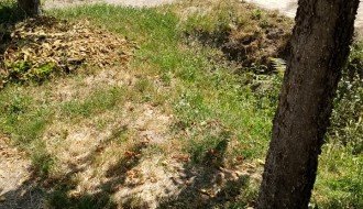 Javašluk u Bajmoku (Ulica JNA)