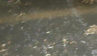 Potop Engelsove ulice (loše odvodnjavanje)