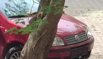 Neregistrovana i napuštena vozila na parkingu iza ulice Ištvana Kizura 11-13