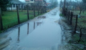 Ulica Jelene Ćetković na Makovoj