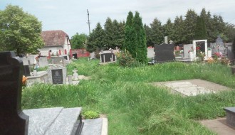 Nepokošena trava na groblju u Aleksandrovu