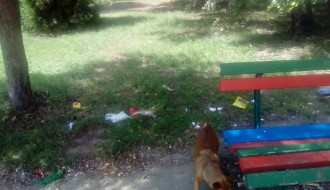 MZ Bikovo - ružna slika u parku