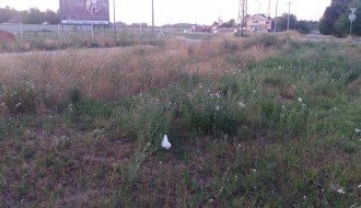 Košenje trave i korova na Teslinom naselju