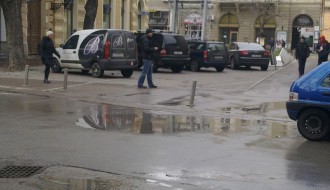 Pauk imao slobodan dan