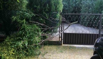 Grane posečene i ostavljene ispred ulaza u kuću