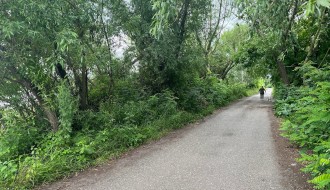 "Džungla" na kraju Ulice Partizanskih baza