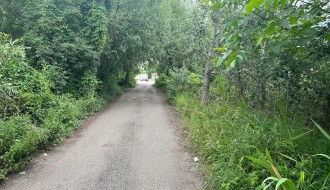 "Džungla" na kraju Ulice Partizanskih baza