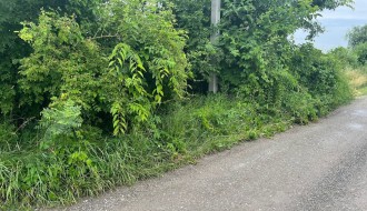 "Džungla" na kraju Ulice Partizanskih baza