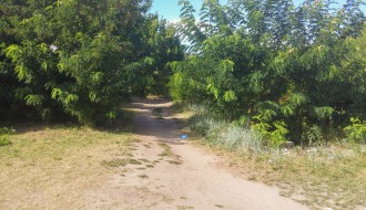 Kroz pustinju do vode