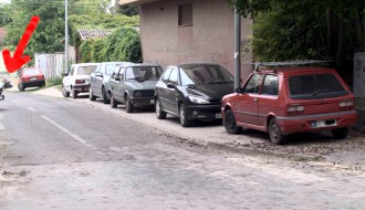 Pauk više voli strance