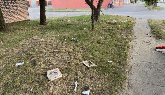 Problem kućnog smeća u Teslinoj ulici