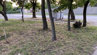 Problem kućnog smeća u Teslinoj ulici