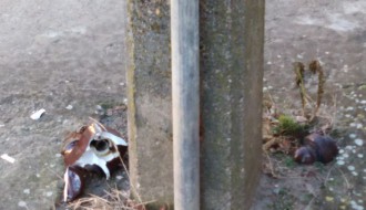 Gradska elektro mreža - dotrajalost