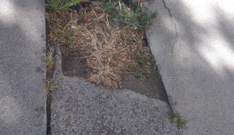 Rupe na trotoaru u ulici Arsenija Čarnojevića