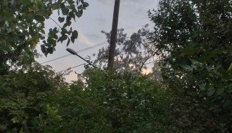 Problem sa strujom u selu Gabrić zbog neorezanih krošnji drveća