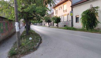 Nepregledna raskrsnica zbog rastinja (ugao ulica Antonija Hadžića i Arsenija Čarnojevica)