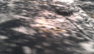 A gde je sada pauk? (opet komunalna policija)