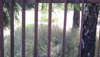 Neodržavanje Prve kasarne, zarasla i zapuštena