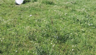 Dečje igralište u ulici Plate Dobrojevića kod Čvorkove bare