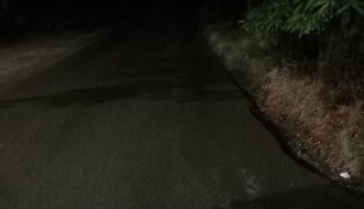 Mrak u Palmotićevoj