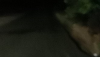 Mrak u Palmotićevoj