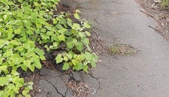 Trotoar kod "Severa" u lošem stanju