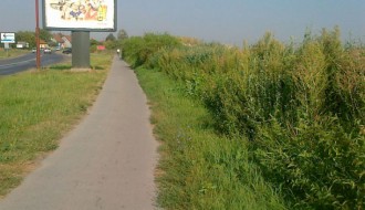 Biciklistička staza na kraju somborske pruge obrasla šibljem (Zorka)