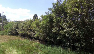 Problem kod podvožnjaka