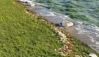 Stiropor sa mola Veslačkog kluba upada u jezero