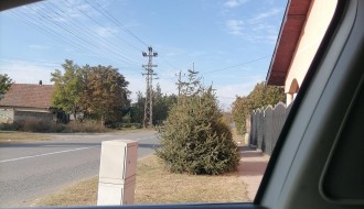 Rizičan izlazak iz Jasenovačke: Borovi zaklanjaju preglednost ka Bajskom putu