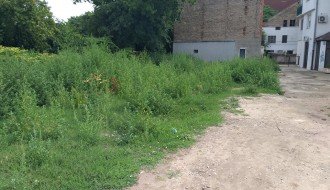 "Divljanje" korova u samom centru grada