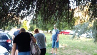 Bolesno drvo na Prozivci ometa prolaz pešacima