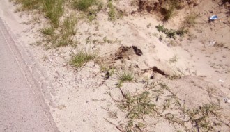 Čordaški put - Kanali pored puta opasni