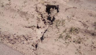 Čordaški put - Kanali pored puta opasni