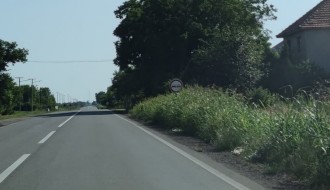 Nepokošena trava na putu Subotica - Bajmok