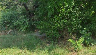 Zapušten ugao Ferenci Ibolje i Otvorene ulice, nepregledan za saobraćaj, granje u elektro vodovima