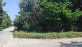 Zapušten ugao Ferenci Ibolje i Otvorene ulice, nepregledan za saobraćaj, granje u elektro vodovima