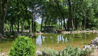 Pacovi u jezeru u Dudovoj šumi