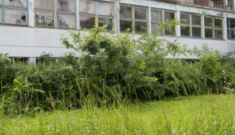 Neodržavani prostor u jezgru Radijalca