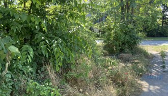 Površina u Kireškoj ulici zarasla travom i korovom