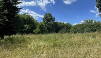 Površina u Kireškoj ulici zarasla travom i korovom