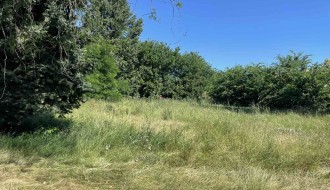 Površina u Kireškoj ulici zarasla travom i korovom