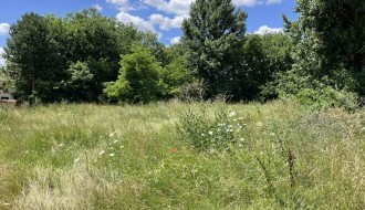 Površina u Kireškoj ulici zarasla travom i korovom