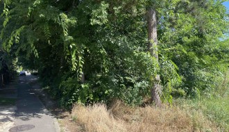 Površina u Kireškoj ulici zarasla travom i korovom