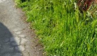 Prošla zima, stiglo proleće